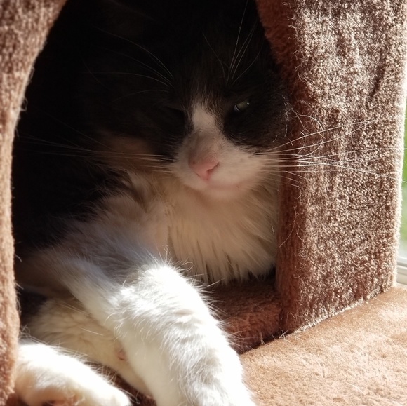 Meet your Posher, Jamie - Picture 4 of 5